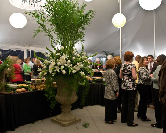 Photography by Stephen